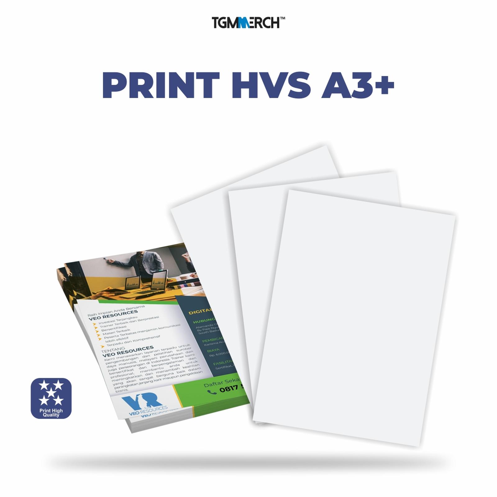 Hvs 100 gr